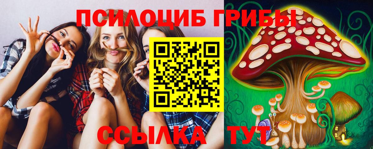 как найти закладки  Галлюциногенные грибы мицелий  Вход с VPN  Кропоткин 
